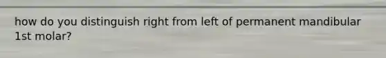 how do you distinguish right from left of permanent mandibular 1st molar?
