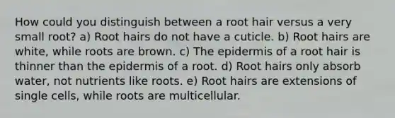 How could you distinguish between a root hair versus a very small root? a) Root hairs do not have a cuticle. b) Root hairs are white, while roots are brown. c) <a href='https://www.questionai.com/knowledge/kBFgQMpq6s-the-epidermis' class='anchor-knowledge'>the epidermis</a> of a root hair is thinner than the epidermis of a root. d) Root hairs only absorb water, not nutrients like roots. e) Root hairs are extensions of single cells, while roots are multicellular.