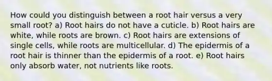 How could you distinguish between a root hair versus a very small root? a) Root hairs do not have a cuticle. b) Root hairs are white, while roots are brown. c) Root hairs are extensions of single cells, while roots are multicellular. d) <a href='https://www.questionai.com/knowledge/kBFgQMpq6s-the-epidermis' class='anchor-knowledge'>the epidermis</a> of a root hair is thinner than the epidermis of a root. e) Root hairs only absorb water, not nutrients like roots.