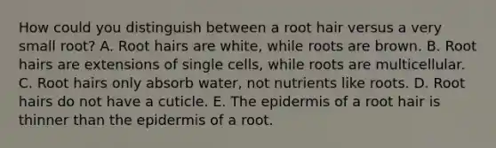 How could you distinguish between a root hair versus a very small root? A. Root hairs are white, while roots are brown. B. Root hairs are extensions of single cells, while roots are multicellular. C. Root hairs only absorb water, not nutrients like roots. D. Root hairs do not have a cuticle. E. The epidermis of a root hair is thinner than the epidermis of a root.