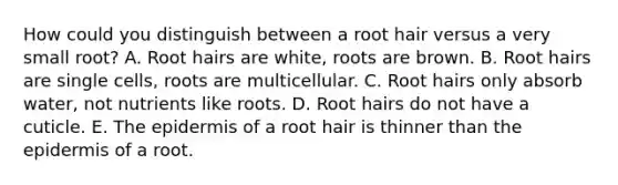 How could you distinguish between a root hair versus a very small root? A. Root hairs are white, roots are brown. B. Root hairs are single cells, roots are multicellular. C. Root hairs only absorb water, not nutrients like roots. D. Root hairs do not have a cuticle. E. The epidermis of a root hair is thinner than the epidermis of a root.