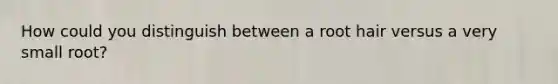 How could you distinguish between a root hair versus a very small root?