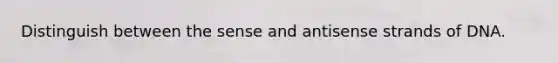 Distinguish between the sense and antisense strands of DNA.