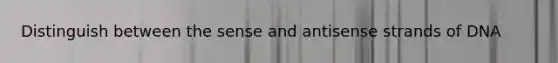 Distinguish between the sense and antisense strands of DNA