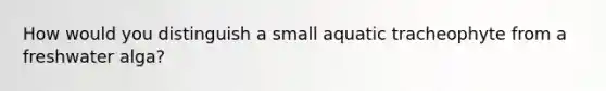 How would you distinguish a small aquatic tracheophyte from a freshwater alga?