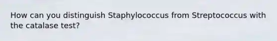 How can you distinguish Staphylococcus from Streptococcus with the catalase test?