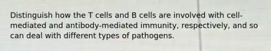 Distinguish how the T cells and B cells are involved with cell-mediated and antibody-mediated immunity, respectively, and so can deal with different types of pathogens.