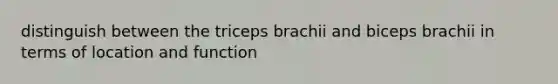 distinguish between the triceps brachii and biceps brachii in terms of location and function