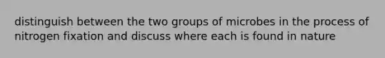 distinguish between the two groups of microbes in the process of nitrogen fixation and discuss where each is found in nature