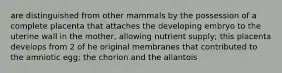 are distinguished from other mammals by the possession of a complete placenta that attaches the developing embryo to the uterine wall in the mother, allowing nutrient supply; this placenta develops from 2 of he original membranes that contributed to the amniotic egg; the chorion and the allantois