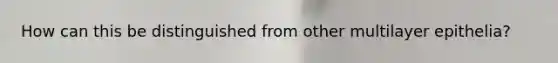 How can this be distinguished from other multilayer epithelia?