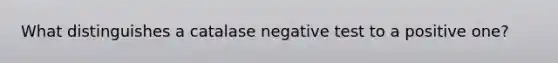 What distinguishes a catalase negative test to a positive one?