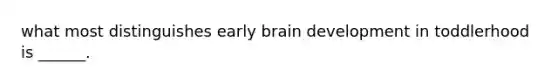 what most distinguishes early brain development in toddlerhood is ______.