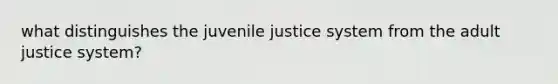 what distinguishes the juvenile justice system from the adult justice system?