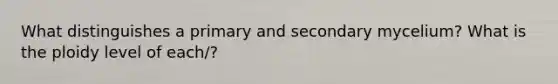 What distinguishes a primary and secondary mycelium? What is the ploidy level of each/?