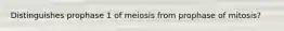 Distinguishes prophase 1 of meiosis from prophase of mitosis?