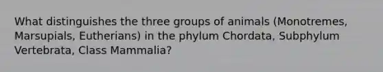 What distinguishes the three groups of animals (Monotremes, Marsupials, Eutherians) in the phylum Chordata, Subphylum Vertebrata, Class Mammalia?