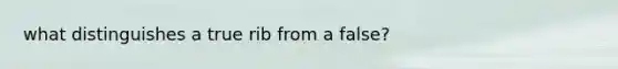 what distinguishes a true rib from a false?