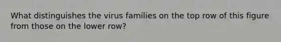 What distinguishes the virus families on the top row of this figure from those on the lower row?