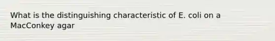 What is the distinguishing characteristic of E. coli on a MacConkey agar