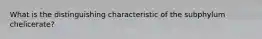 What is the distinguishing characteristic of the subphylum chelicerate?