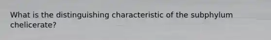 What is the distinguishing characteristic of the subphylum chelicerate?