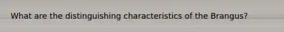 What are the distinguishing characteristics of the Brangus?