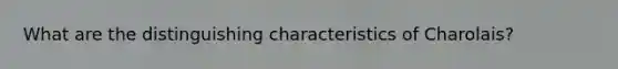 What are the distinguishing characteristics of Charolais?