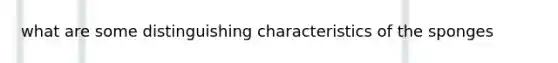 what are some distinguishing characteristics of the sponges