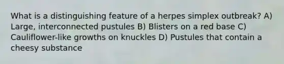 What is a distinguishing feature of a herpes simplex outbreak? A) Large, interconnected pustules B) Blisters on a red base C) Cauliflower-like growths on knuckles D) Pustules that contain a cheesy substance