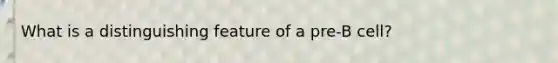 What is a distinguishing feature of a pre-B cell?
