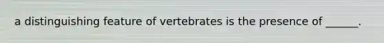 a distinguishing feature of vertebrates is the presence of ______.