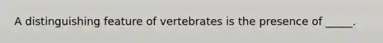 A distinguishing feature of vertebrates is the presence of _____.