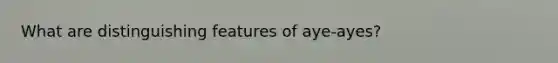 What are distinguishing features of aye-ayes?