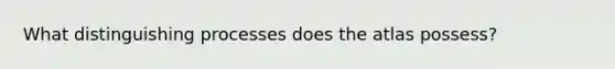 What distinguishing processes does the atlas possess?