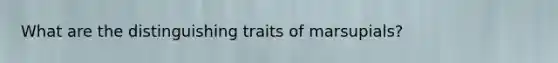 What are the distinguishing traits of marsupials?
