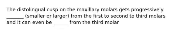 The distolingual cusp on the maxillary molars gets progressively _______ (smaller or larger) from the first to second to third molars and it can even be ______ from the third molar