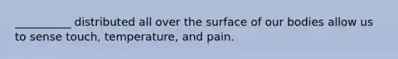 __________ distributed all over the surface of our bodies allow us to sense touch, temperature, and pain.