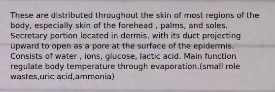 These are distributed throughout the skin of most regions of the body, especially skin of the forehead , palms, and soles. Secretary portion located in dermis, with its duct projecting upward to open as a pore at the surface of the epidermis. Consists of water , ions, glucose, lactic acid. Main function regulate body temperature through evaporation.(small role wastes,uric acid,ammonia)