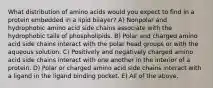 What distribution of amino acids would you expect to find in a protein embedded in a lipid bilayer? A) Nonpolar and hydrophobic amino acid side chains associate with the hydrophobic tails of phospholipids. B) Polar and charged amino acid side chains interact with the polar head groups or with the aqueous solution. C) Positively and negatively charged amino acid side chains interact with one another in the interior of a protein. D) Polar or charged amino acid side chains interact with a ligand in the ligand binding pocket. E) All of the above.