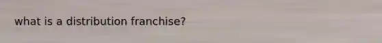 what is a distribution franchise?
