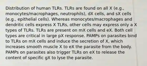 Distribution of human TLRs. TLRs are found on all X (e.g., monocytes/macrophages, neutrophils), dX cells, and sX cells (e.g., epithelial cells). Whereas monocytes/macrophages and dendritic cells express X TLRs, other cells may express only a X types of TLRs. TLRs are present on mX cells and eX. Both cell types are critical in large pX response. PAMPs on parasites bind to TLRs on mX cells and induce the secretion of X, which increases smooth muscle X to eX the parasite from the body. PAMPs on parasites also trigger TLRs on eX to release the content of specific gX to lyse the parasite.