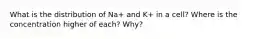 What is the distribution of Na+ and K+ in a cell? Where is the concentration higher of each? Why?