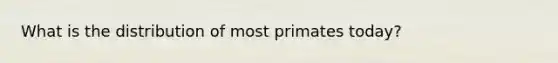 What is the distribution of most primates today?