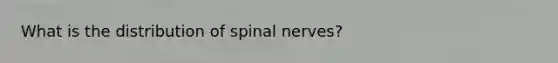 What is the distribution of spinal nerves?