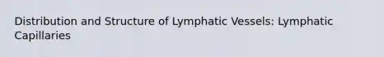 Distribution and Structure of Lymphatic Vessels: Lymphatic Capillaries