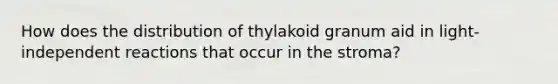 How does the distribution of thylakoid granum aid in light-independent reactions that occur in the stroma?