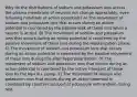 Why do the distributions of sodium and potassium ions across the plasma membrane of neurons not change appreciably, even following hundreds of action potentials? A) The movement of sodium and potassium ions that occurs during an action potential is countered by the passive leak of these ions when a neuron is at rest. B) The movement of sodium and potassium ions that occurs during an action potential is countered by the passive movement of these ions during the repolarization phase. C) The movement of sodium and potassium ions that occurs during an action potential is countered by the passive movement of these ions during the after-hyperpolarization. D) The movement of sodium and potassium ions that occurs during an action potential is countered by the active transport of these ions by the Na+/K+ pump. E) The movement of sodium and potassium ions that occurs during an action potential is countered by counter-transport of potassium with sodium during rest.