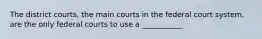 The district courts, the main courts in the federal court system, are the only federal courts to use a ___________