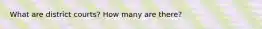 What are district courts? How many are there?